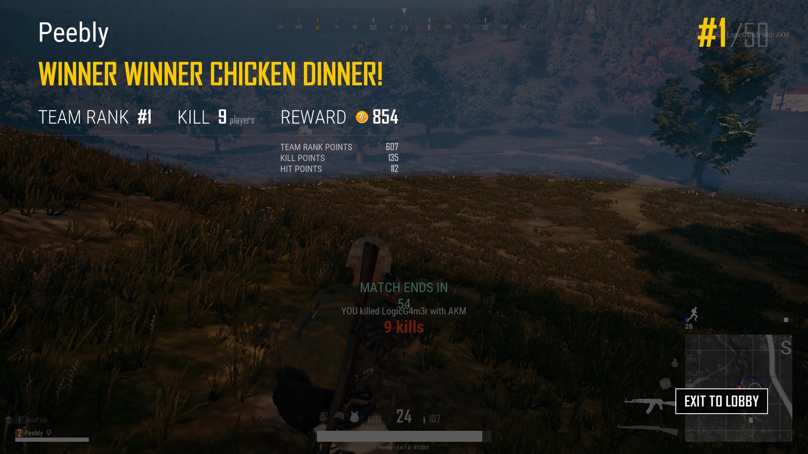 PUBG winner screen: Winner winner chicken dinner